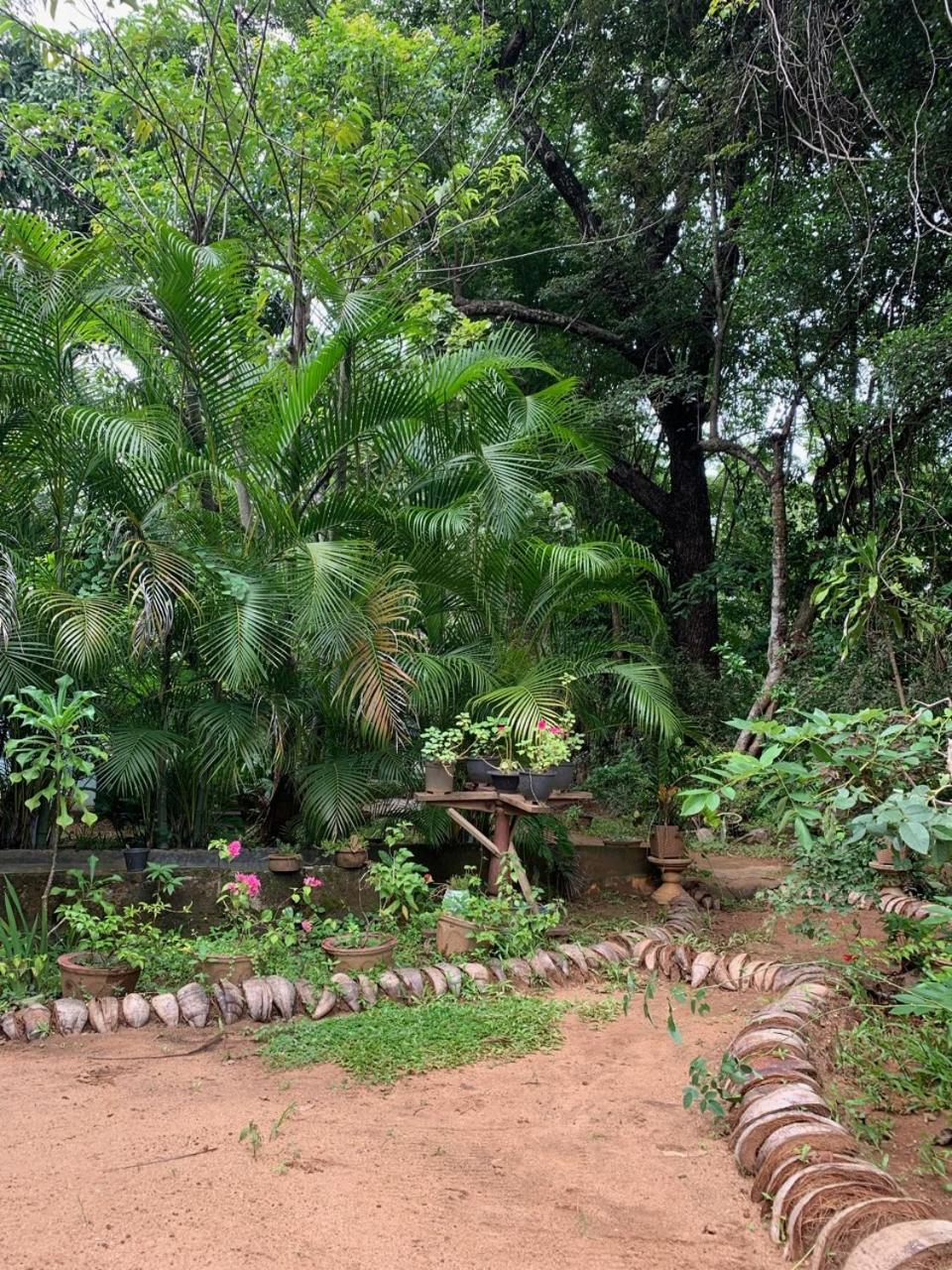 Manju Homestay Sigiriya Exterior foto