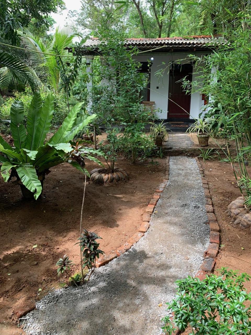 Manju Homestay Sigiriya Exterior foto